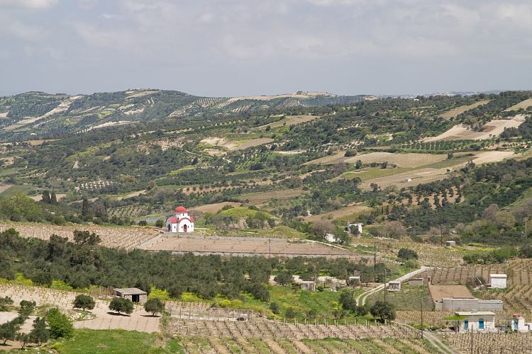Bei Agia Varvara (Kreta - Knossos und Mires)