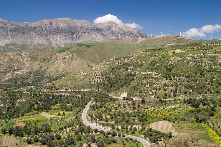 Bei Agia Varvara (Kreta - Knossos und Mires)