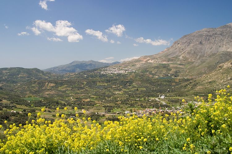 Bei Agia Varvara (Kreta - Knossos und Mires)