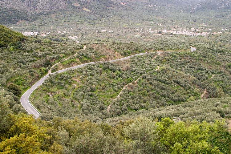 Bei Krasi (Kreta - Fahrt zur Lassithi-Hochebene)