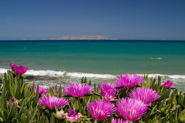 Chersonissos - Heraklion (Kreta - Malia und Heraklion)