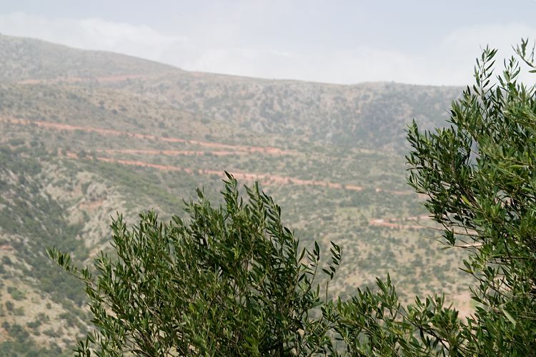 Die minoische Siedlung Lato (Kreta - Agios Nikolaos und Umgebung)