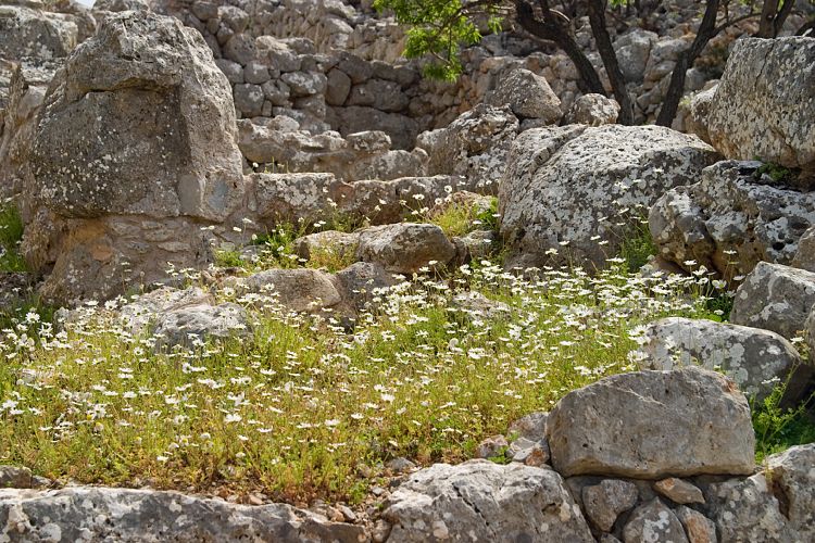 Die minoische Siedlung Lato (Kreta - Agios Nikolaos und Umgebung)