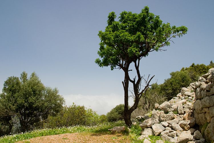Die minoische Siedlung Lato (Kreta - Agios Nikolaos und Umgebung)