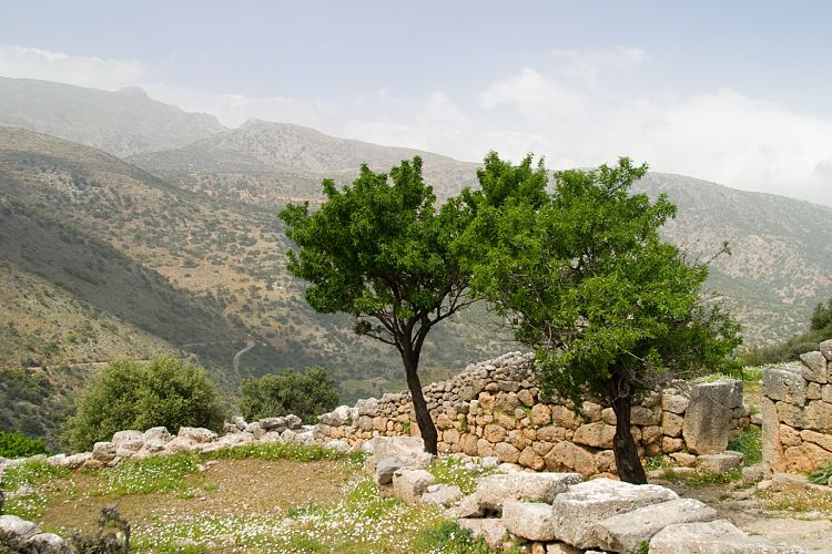 Die minoische Siedlung Lato (Kreta - Agios Nikolaos und Umgebung)
