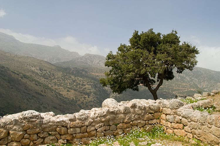 Die minoische Siedlung Lato (Kreta - Agios Nikolaos und Umgebung)