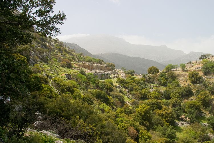 Die minoische Siedlung Lato (Kreta - Agios Nikolaos und Umgebung)