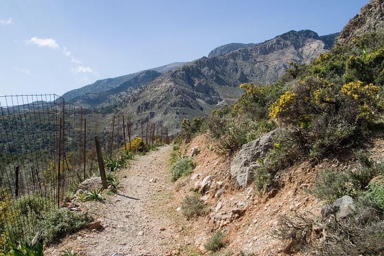 Forellensee beim Kloster Agios Nikolaos (Kreta - Knossos und Mires)
