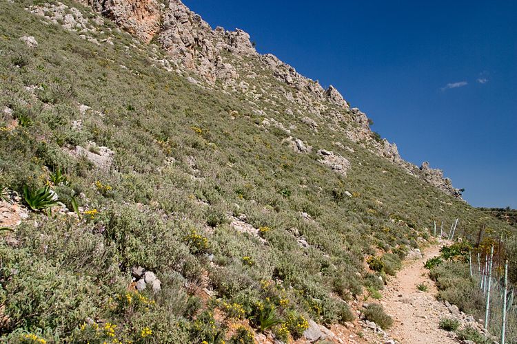 Forellensee beim Kloster Agios Nikolaos (Kreta - Knossos und Mires)