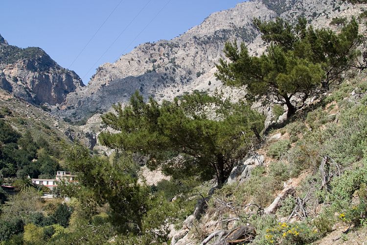 Forellensee beim Kloster Agios Nikolaos (Kreta - Knossos und Mires)