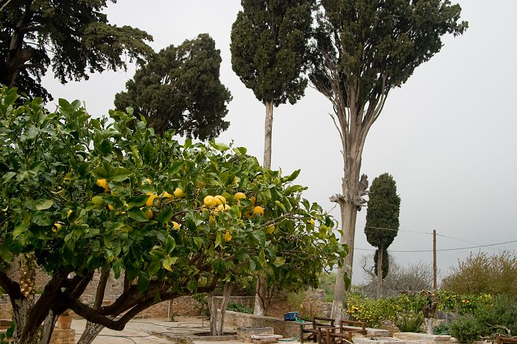 Kloster Ayia Triada (Kreta - Agios Nikolaos und Umgebung)