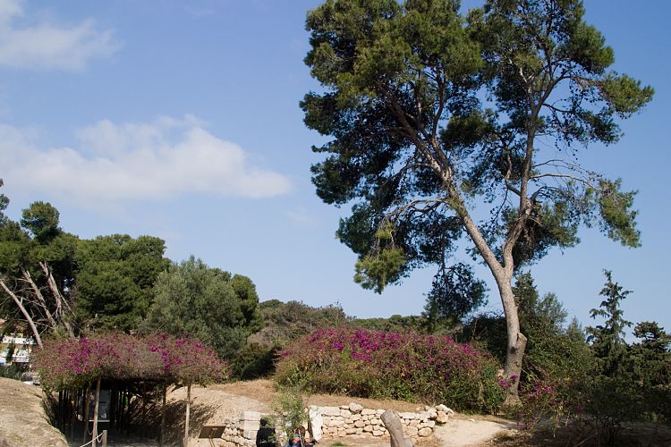 Knossos (Kreta - Knossos und Mires)