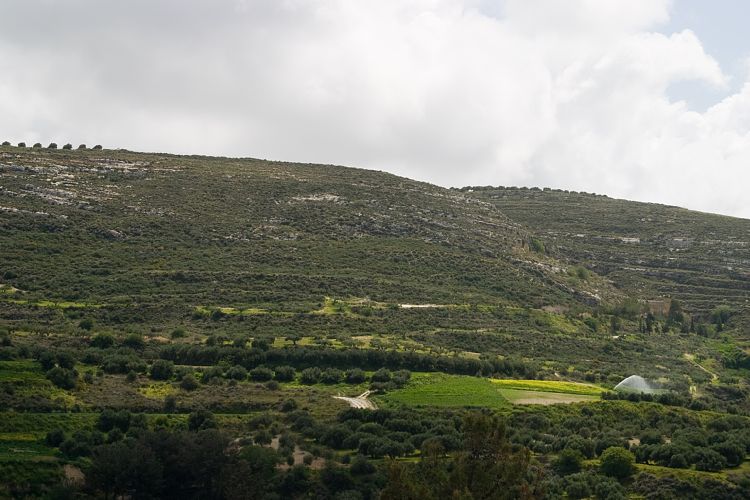 Knossos (Kreta - Knossos und Mires)