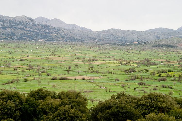 Lassithi-Hochebene (Kreta - Fahrt zur Lassithi-Hochebene)