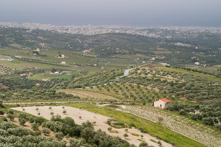 Nekropole Fourni (Kreta - Fahrt Nida-Hochebene)