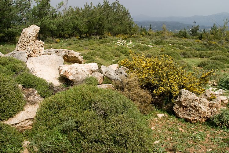 Nekropole Fourni (Kreta - Fahrt Nida-Hochebene)
