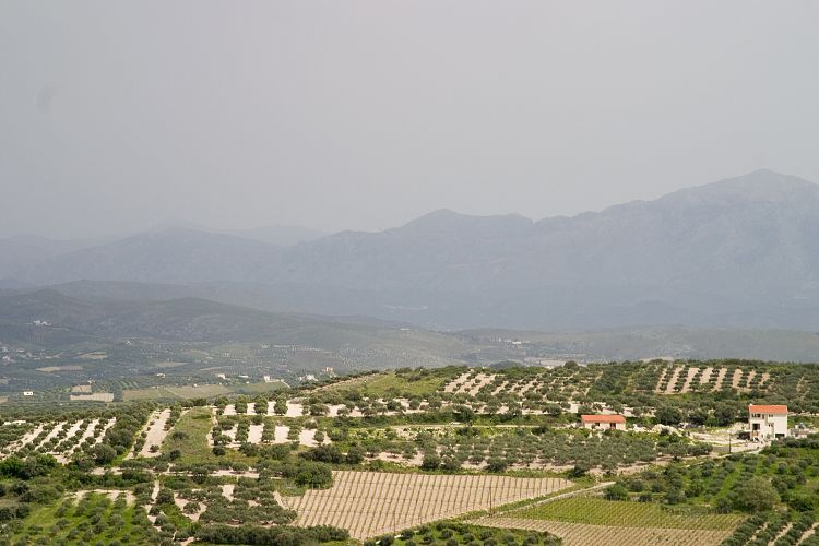 Nekropole Fourni (Kreta - Fahrt Nida-Hochebene)