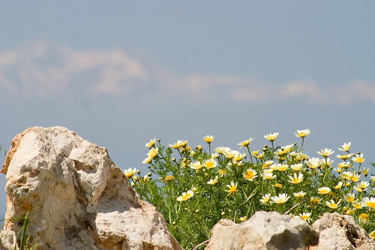 Rethymnon (Kreta - Fahrt nach Rethymnon und Chania)