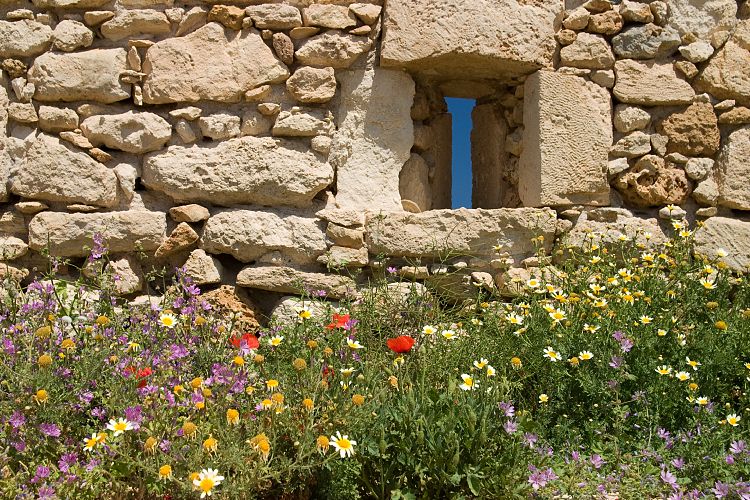 Rethymnon (Kreta - Fahrt nach Rethymnon und Chania)
