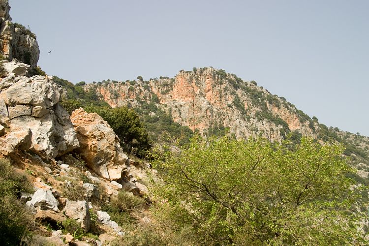 Selinari (Kreta - Agios Nikolaos und Umgebung)