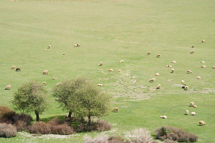 Weg zur Ideon Andron (Kreta - Fahrt Nida-Hochebene)