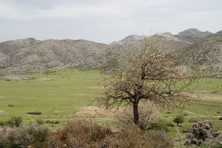 Weg zur Ideon Andron (Kreta - Fahrt Nida-Hochebene)