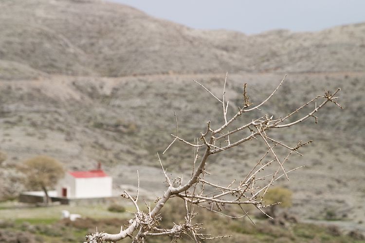 Weg zur Ideon Andron (Kreta - Fahrt Nida-Hochebene)