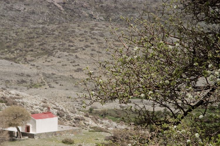 Weg zur Ideon Andron (Kreta - Fahrt Nida-Hochebene)
