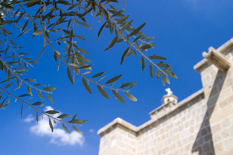 Agios Antonios (Zypern - Nikosia (Lefkosia))