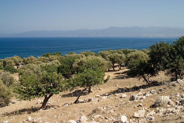 Bad der Aphrodite (Zypern - Der Nordwesten)