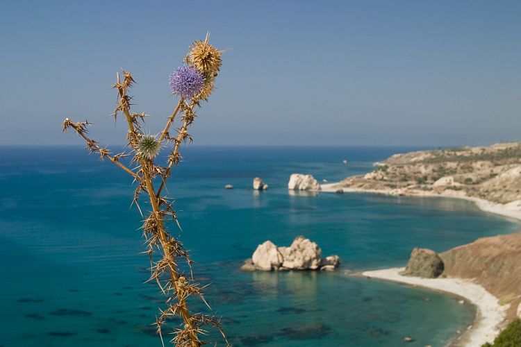 Felsen der Aphrodite (Petra tou Romiou) (Zypern - Der Sdwesten)