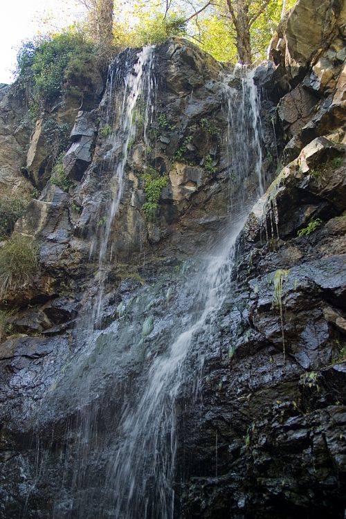 Kaledonia Wasserflle (Zypern - Troodos)