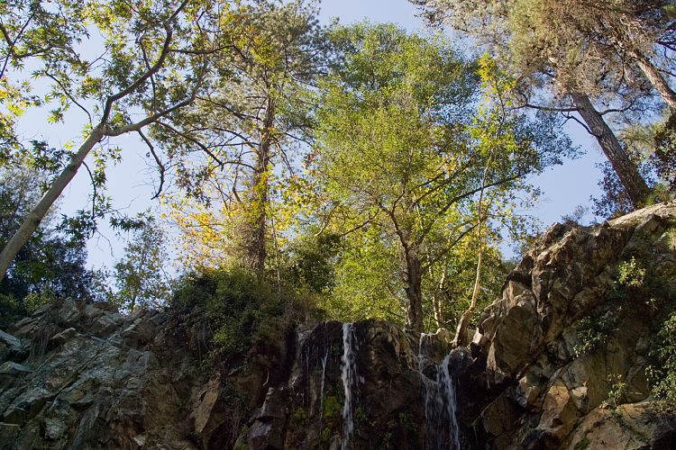 Kaledonia Wasserflle (Zypern - Troodos)