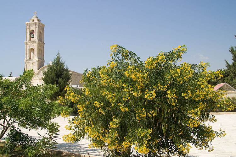 Kiti (Zypern - Der Sden)
