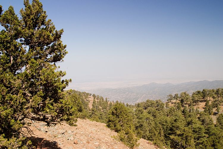 Olymp (Zypern - Troodos)