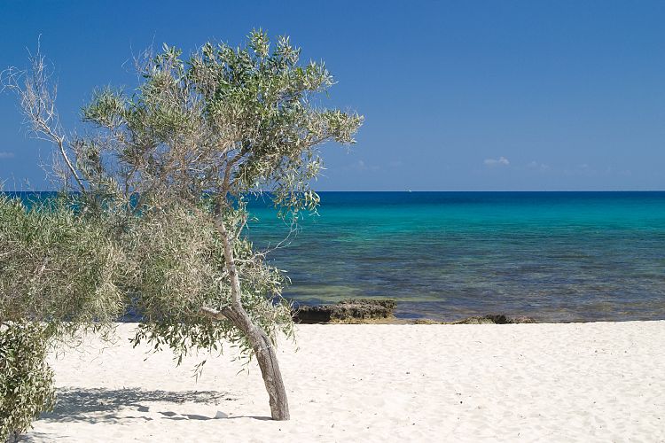 Potamos (Zypern - Der Sdosten)