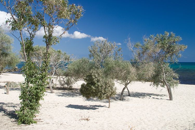 Potamos (Zypern - Der Sdosten)