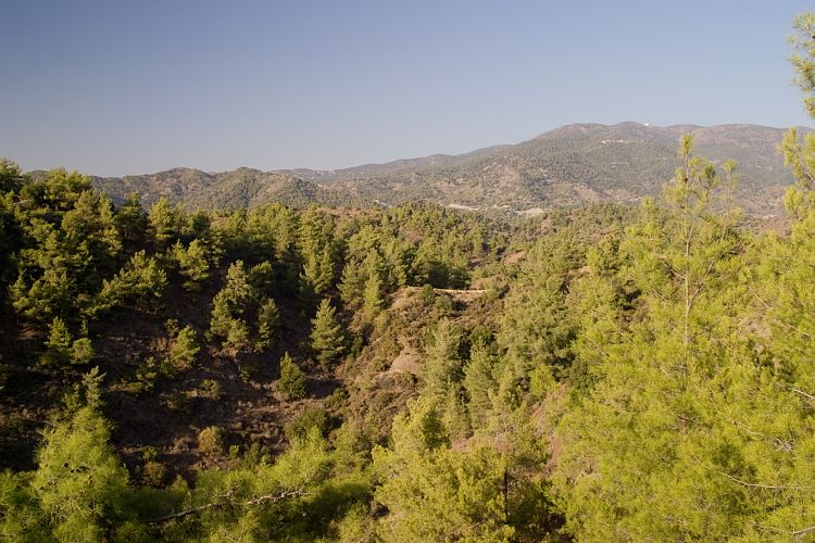 Troodos (Zypern - Troodos)
