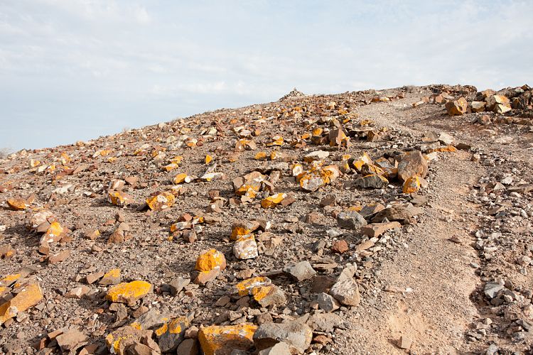 Bei Las Playitas (Fuerteventura - Las Playitas)