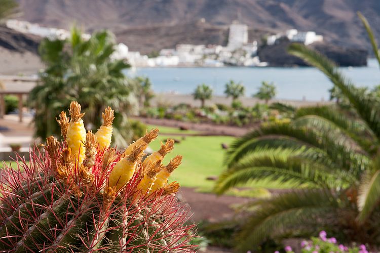 Hotel Las Playitas (Fuerteventura - Las Playitas & Jandia)