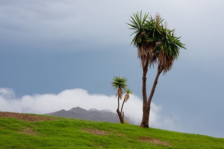 Hotel Las Playitas (Fuerteventura - Las Playitas)