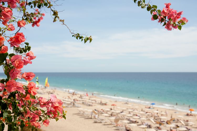 Jandia Playa (Fuerteventura - Las Playitas & Jandia)