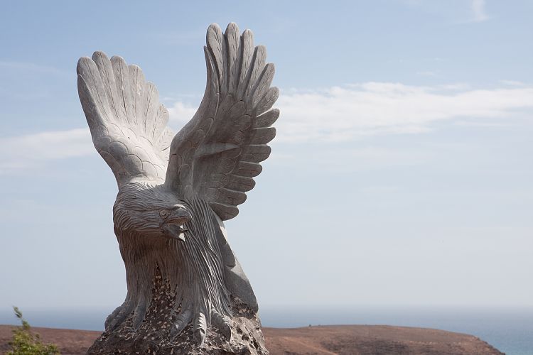 Oasis Park (Fuerteventura - Oasis Park)