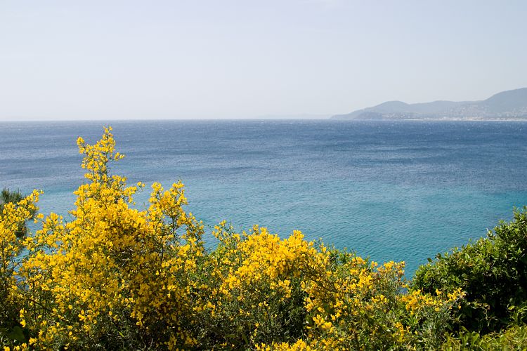 Bei Gigaro (Cote d'Azur - Gigaro)
