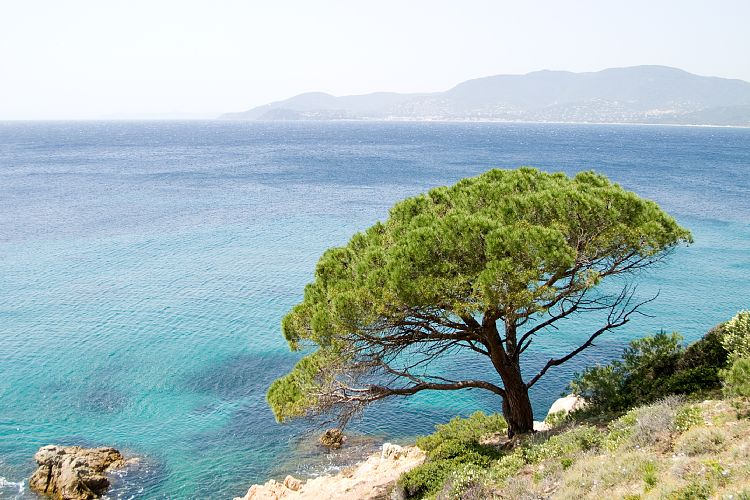 Bei Gigaro (Cote d'Azur - Gigaro)