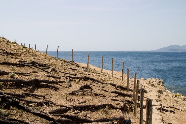 Bei Gigaro (Cote d'Azur - Gigaro)