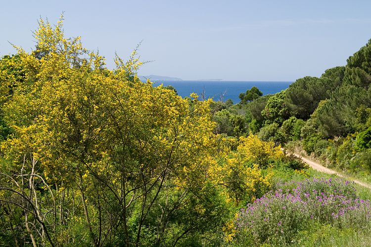 Bei Gigaro (Cote d'Azur - Wanderung)