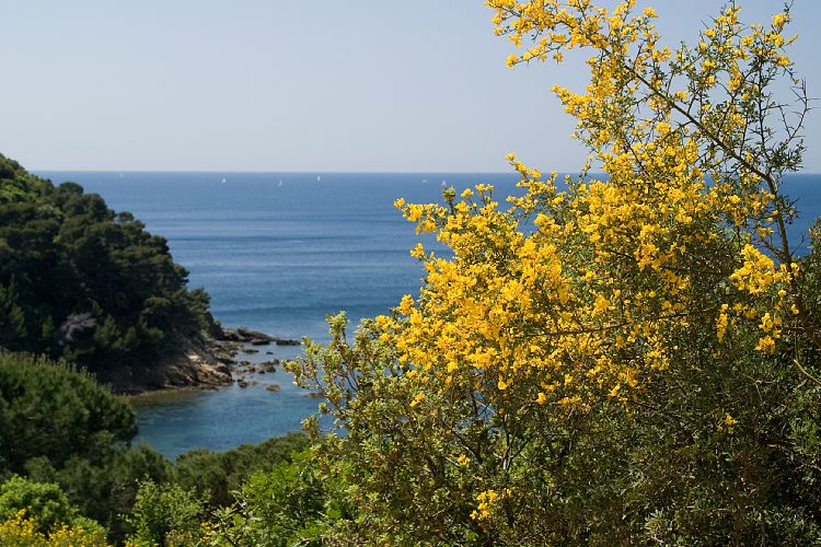 Bei Gigaro (Cote d'Azur - Wanderung)