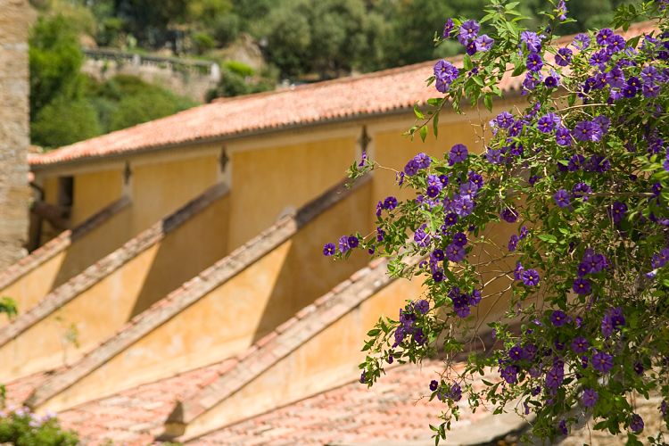 Bormes-les-Mimosas (Cote d'Azur - Ausflug)