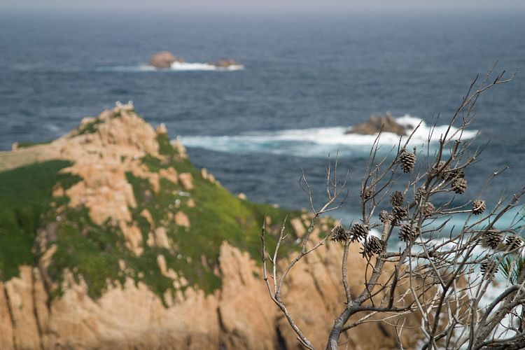 Cap Camarat (Cote d'Azur - Ausflug)